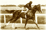 A Rich Legacy: The History of Black Horse Racing Jockeys