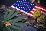 Our Vets Serve Us, Can Pot Save Them?