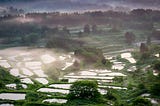 Dusk ’Til Dawn in the Rice Terraces of Niigata