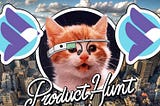 Our Experience Launching on Product Hunt