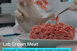 Lab Grown Meat