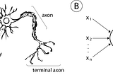 Neural Network