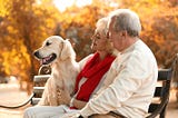 Looking Into the Most Popular Reasons Seniors Choose to Have a Pet