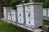 Local Honey from Burt Street Apiary