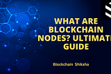 What are Nodes in the Blockchain Ecosystem? Ultimate Guide