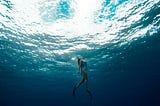 person swimming in the depths coming to the surface for air