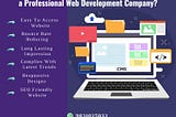 Why you should choose a Professional web development company?