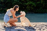 How to Care for a Street Dog and Show It Love