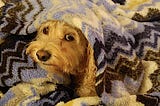 Speech Recognition: a Lazy Dog Primer