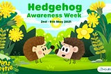 What you can do to help hedgehogs