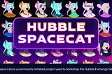 Karşınızda Hubble DAO & Space Cats