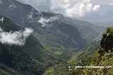 A Soulful Journey Through Horton Plains: Misty Mornings, Wildlife, and World’s End Wonders