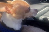 Pablo on his way to see the neurologist