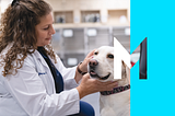 Stemming the veterinary professional shortage to strengthen our industry