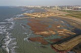 CPC’s LNG terminal — controversial helping hand in green revolution