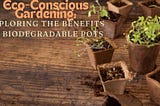 Eco-Conscious Gardening: Exploring the Benefits of Biodegradable Pots