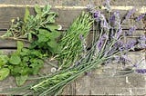 Growing in Season: Hackney Herbal