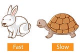 The Tortoise and Hare method to find the middle element of the linked list