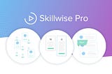 Introducing Skillwise Pro: The First Online Course Bundle Subscription Service