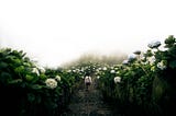 Recruiting accounts to follow on Twitter