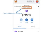 Setting up Metamask for Polygon (Matic Network)