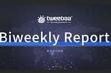 12/3–12/16 Tweebaa Biweekly Report