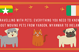 Traveling with Pets: Everything you need to know about moving pets from Yangon, Myanmar to Ireland.