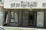 From Startup to Success: USAID CATALYZE Iraq Access to Finance Helps Tackle Iraq’s Youth…