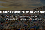 Project Nema: Genetically Engineering the Next Generation of Plastic-Eating Decomposers