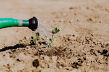 Surge Flow Irrigation: The Pros and Cons of Using This Water-Saving Method