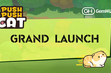 <Push Push Cat> Global Service Launch!