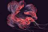 Creative of the Day #12