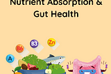 Nutrient Absorption & Gut Health