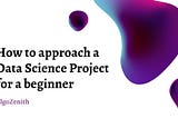 What are the steps to approach a data science project for a beginner?