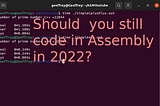 Should you still code in assembly in 2022?