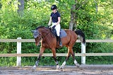 Introduction to Horseback Riding and Its Benefits