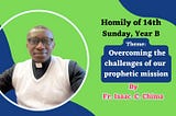 14th Sunday, Year B: Homily by Fr Isaac Chima