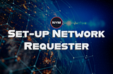 Nym Network Guide: Set-up Network Requester