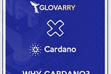 Why Build on Cardano