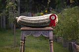 How to Measure Success in a World of Profit and Prizes