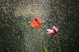 Dancing in the Rain