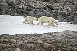 The Bullseye of Global Warming is Melting Away