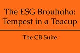 The ESG Brouhaha: Tempest in a Teacup