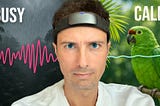 Calming down your brain with brainwave analysis