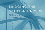 Bridging the Artificial Divide