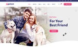 Petzen Theme — WordPress Theme for Pet Care Service & Pet Shop