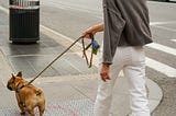 A young lady walking her dog on a sidewalk in a city.