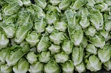 When Lettuce Becomes Unhealthy, It’s Time to Rethink Our Approach to Food Safety