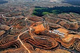 Historic Verdict in Indonesia’s Fight Against Deforestation