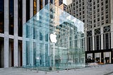 The Glass Box